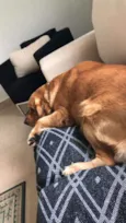 CHARLIE