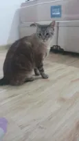 Zé(?)