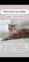 Zé(?)