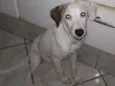 Sem nome