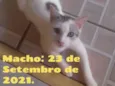 Sem nome
