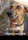 Mel