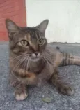 JULLY