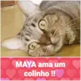 Maya