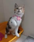 Léa