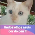 PRÍNCIPE