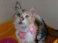 Léa