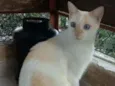 PRÍNCIPE