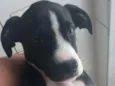Júlia