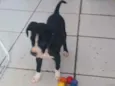 Júlia