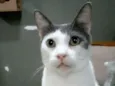 John
