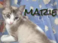 MARIE