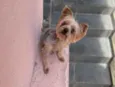 Marley