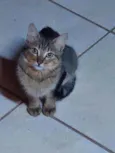 LÉO 