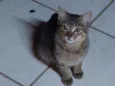 LÉO 