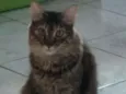 Ritinha