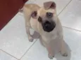 DUDA