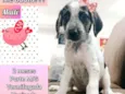 Maitê