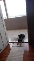 Taygor
