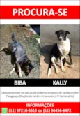 Biba e Kally