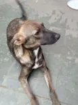 Princesa