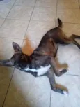 Princesa