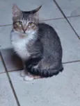 Tim