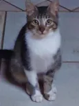 Tim