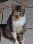 Tim