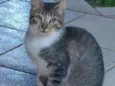 Tim