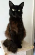 RAYKA