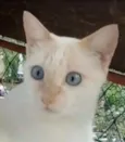 PRÍNCIPE