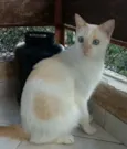 PRÍNCIPE