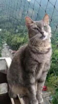 BÓRIS
