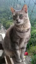 BÓRIS