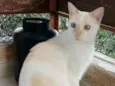 PRÍNCIPE