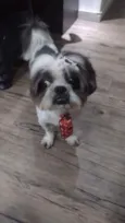 Logan