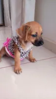 Mel 