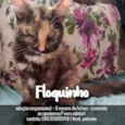 Floquinho