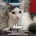 Alan