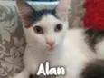 Alan