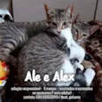 Ale & Alex