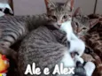 Ale & Alex