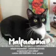 Malfadinha