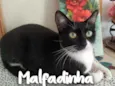 Malfadinha