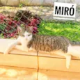 Miró