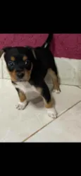 NAO TEM NOME