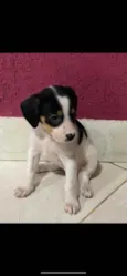 NAO TEM NOME