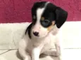 NAO TEM NOME