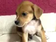 NAO TEM NOME